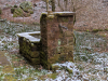 Wanderung mit Wintergrillen, Teilstück des Rodalber Felsenwegs,
16. Februar 2025